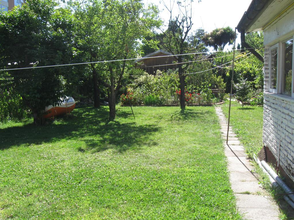 Hostal Entre Araucarias Τεμούκο Εξωτερικό φωτογραφία