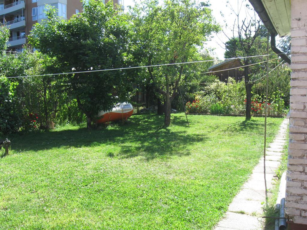 Hostal Entre Araucarias Τεμούκο Εξωτερικό φωτογραφία